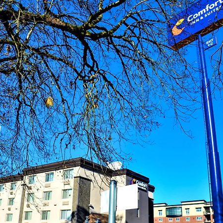 Comfort Inn & Suites Vancouver Downtown City Center Eksteriør bilde