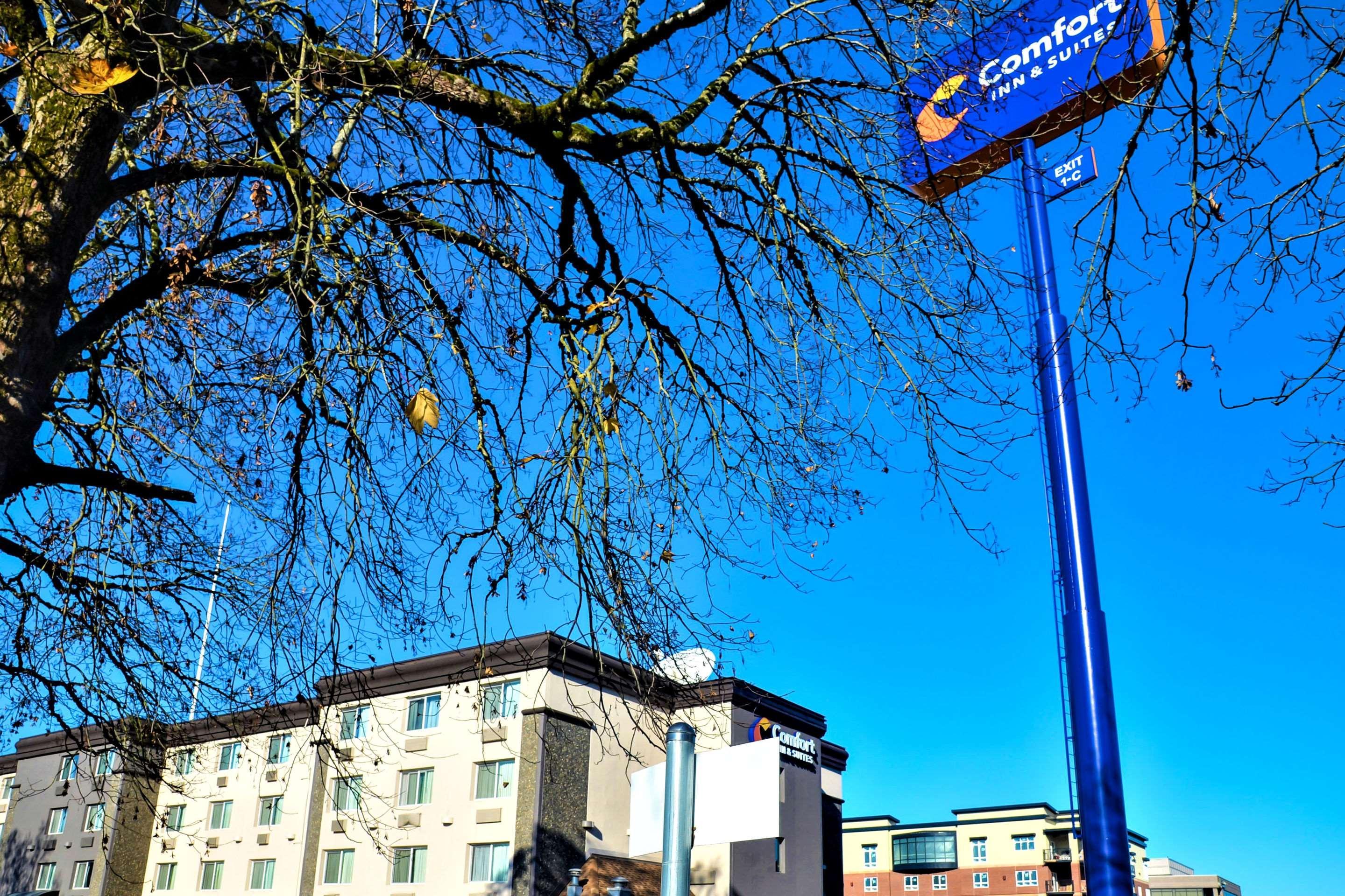 Comfort Inn & Suites Vancouver Downtown City Center Eksteriør bilde