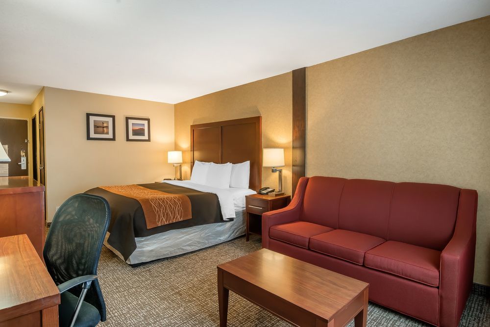 Comfort Inn & Suites Vancouver Downtown City Center Eksteriør bilde